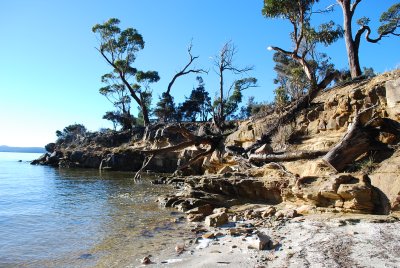 Shelly Beach-6.jpg