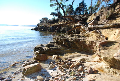 Shelly Beach-7.jpg