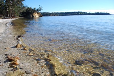 Shelly Beach-10.jpg
