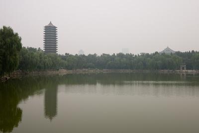 g3/78/587478/3/48532260.CRW_1373.jpg
