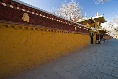 Norbulingka, the Summer Palace of the Dalai Lama.  The yellow walls were a welcome change from the red seen everywhere in China.