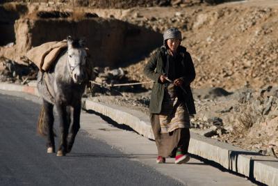 Woman walking a donkey near the small town of Nangartse near the lake.