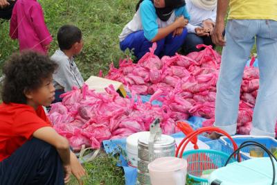 Korban (The Sacrifice)