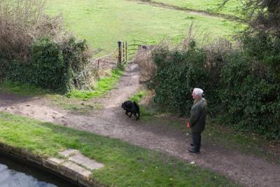 Along the Grand Canal