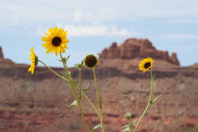 Canyonlands National Park