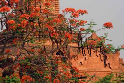 Sunrise on the Temple