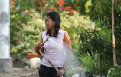 Yangon Gardener