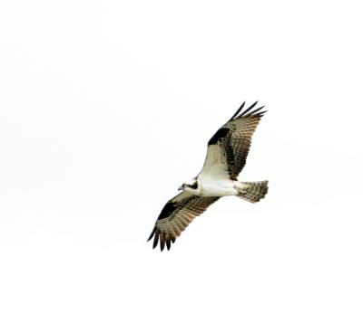 IMG_67041.JPG