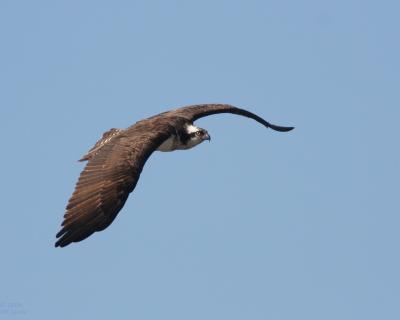 IMG_7434xx.jpg