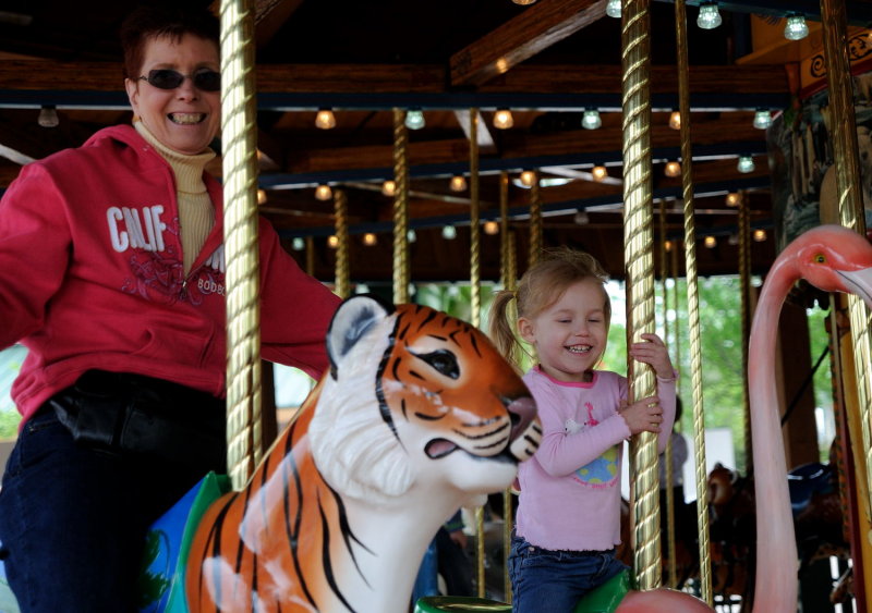 Carousel at the Zoo.