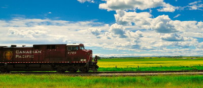 CP in Alberta Canola Fields