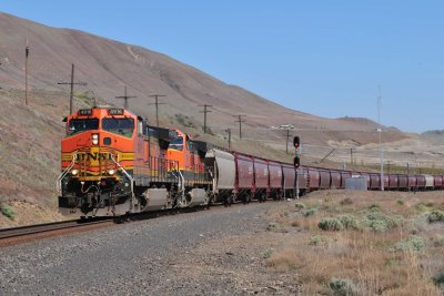 Columbia River Train