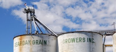 Reardan Grain Growers Inc.