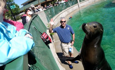 Little Dunk and the Sea Lion