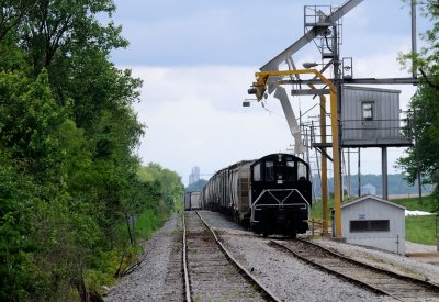 Grain Spot Engine
