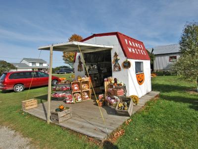 Farmer Stand