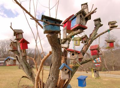 Bird House Tree