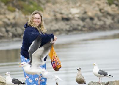 Lady feeds the Gulls