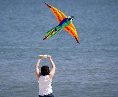 Kite on the Beach