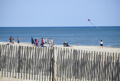 Beautiful Beach Day