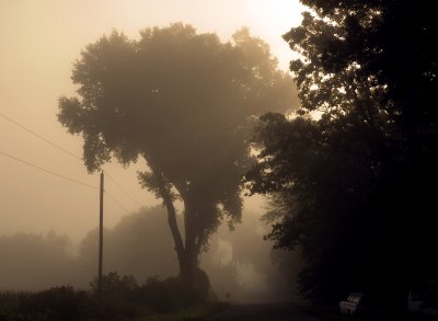 Early Morning Fog