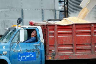 Loading Corn