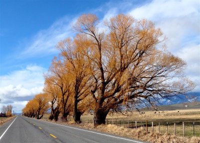 Eastern Oregon