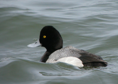 g3/78/630778/3/94611022.j85xmZAg.jpg