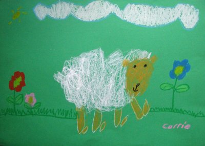 sheep, Carrie, age:6.5