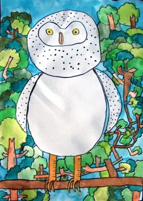 owl, Kelvin Su, age:7