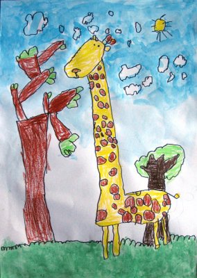 giraffe, Simon, age:5.5
