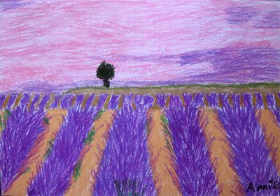 Lavender field, Annie, age:6