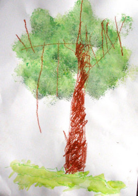 tree, Kyden, age:3.5