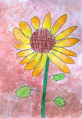 Sunflower, Bekie, age:5.5