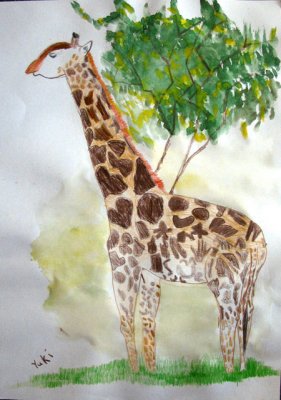 giraffe, Yuki, age:10