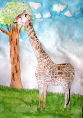 giraffe, Sophia Ying, age:7