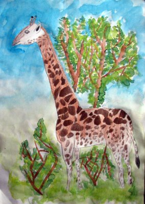 giraffe, Sophia Su, age:7.5