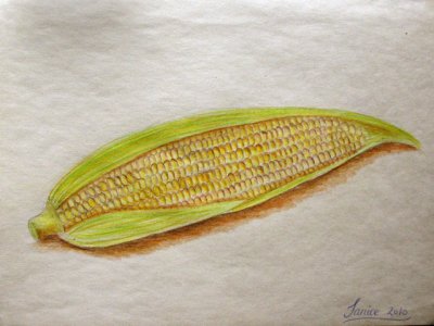 sweet corn, Janice, age:13