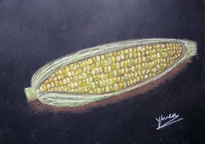 sweet corn, Yiwen, age:10