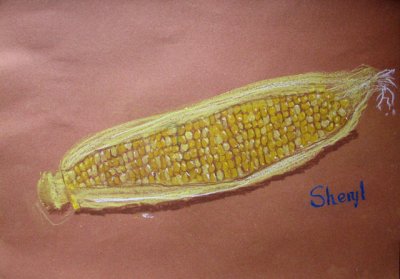 sweet corn, Sheryl, age:8