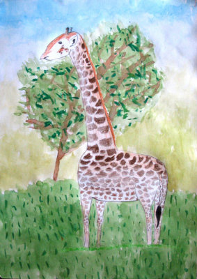 giraffe, Christine, age:7