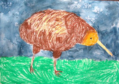 kiwi, Angus, age:5