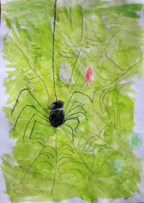spider, Jesper, age:4.5