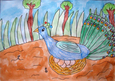 peacock, Hong Yu, age:6