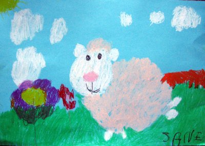 sheep, Jane, age:3.5