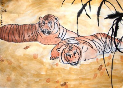 tiger, Joseph Ye, age:11
