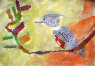 bird, Samuel, age:6