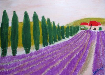 Lavender field, Jeffrey, age:12