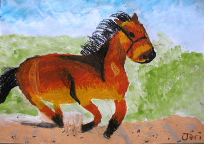 horse, Jeri, age:8