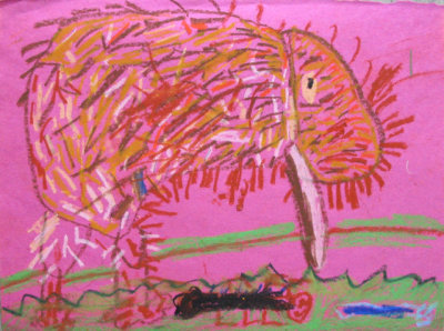 kiwi, William, age:5.5